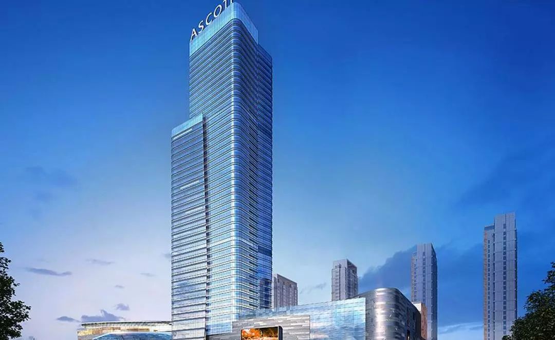 东莞网络公司