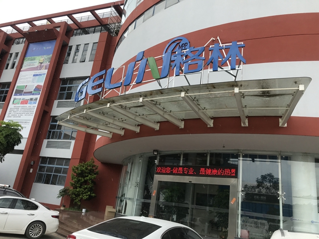 东莞网络公司